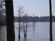 Lake Jordan&nbsp;Eagle's Nest - Holiday Shores