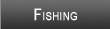 Lake Jordan Fishing